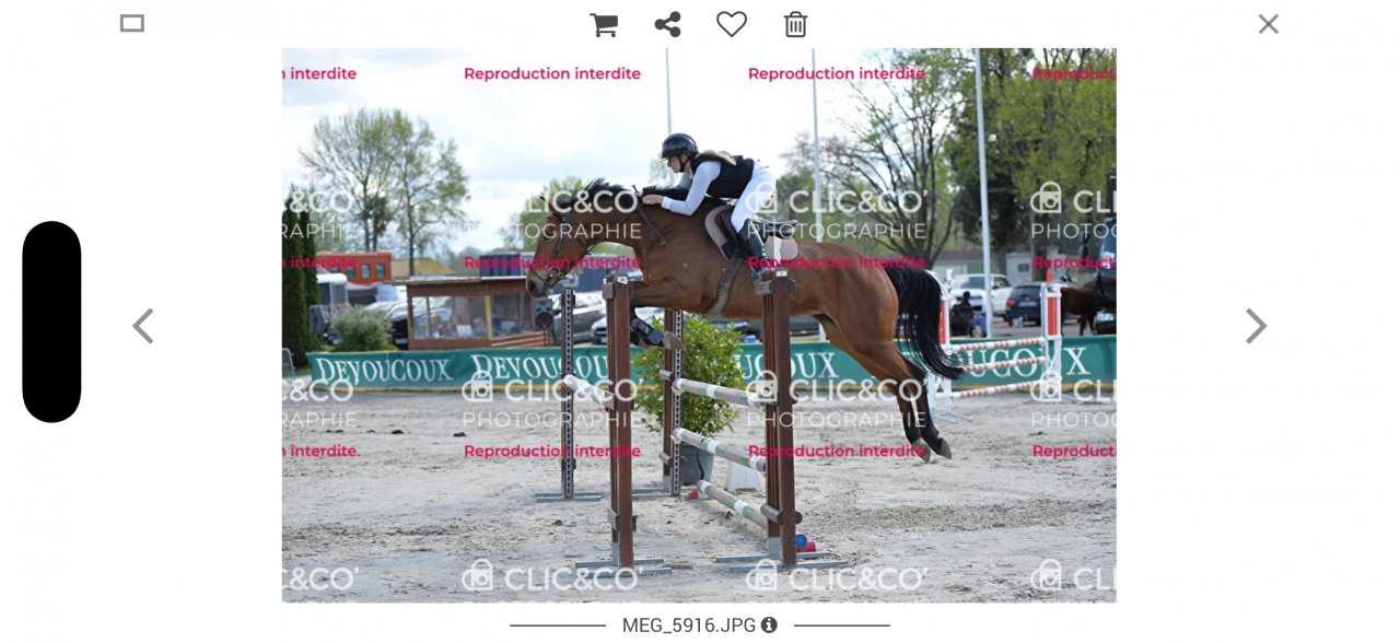 Jument 6 ans cso