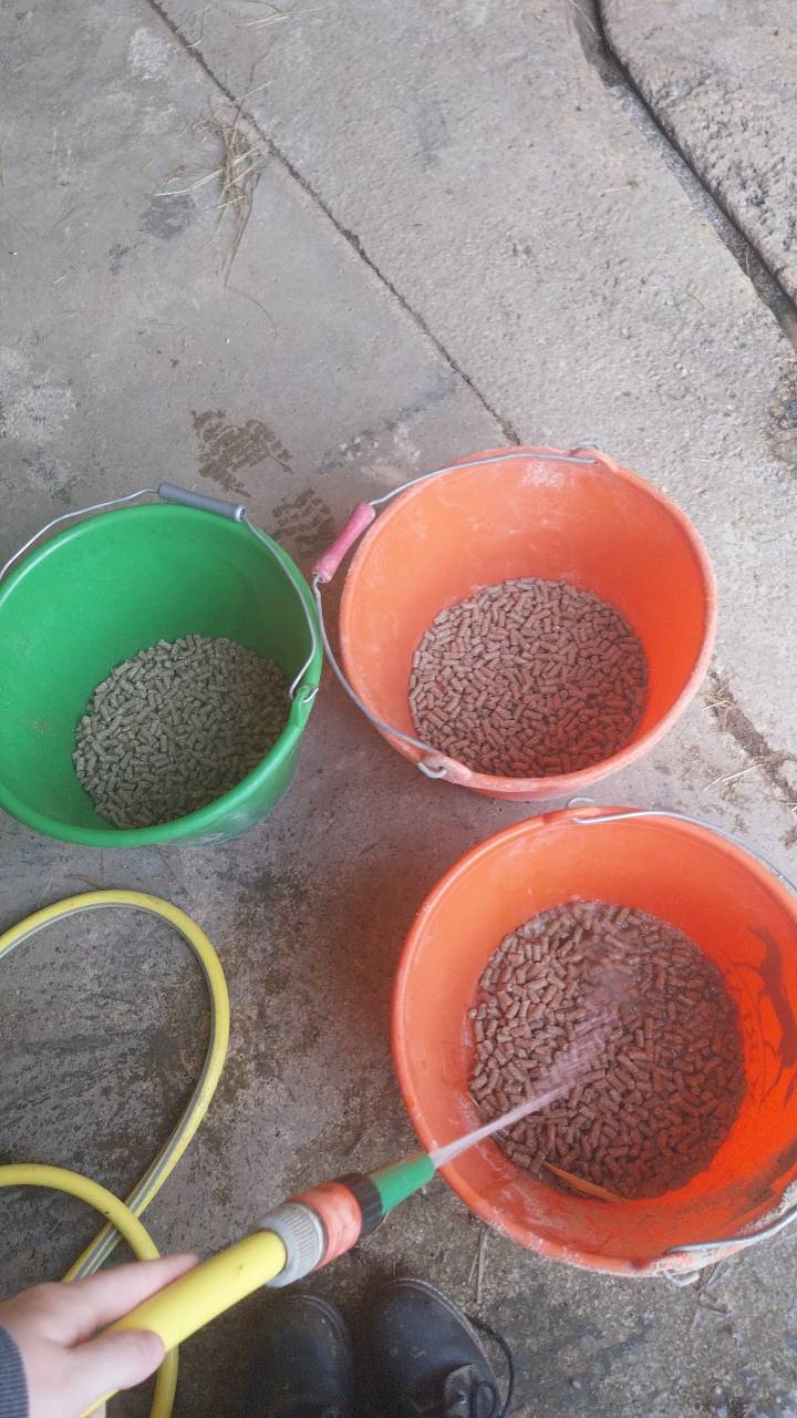 Recherche d'apprentissage sur 2 ans bac pro CGEA 