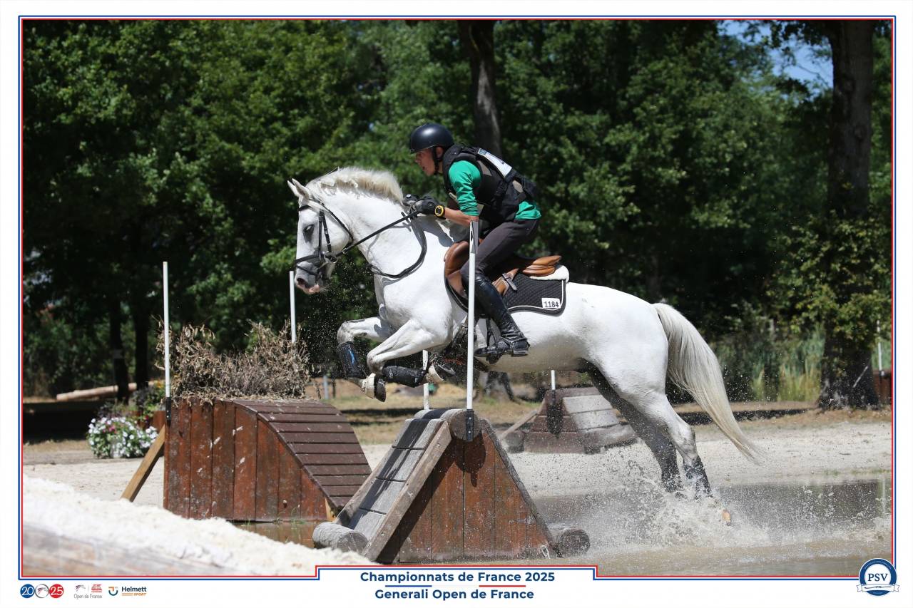 Poney D cce 