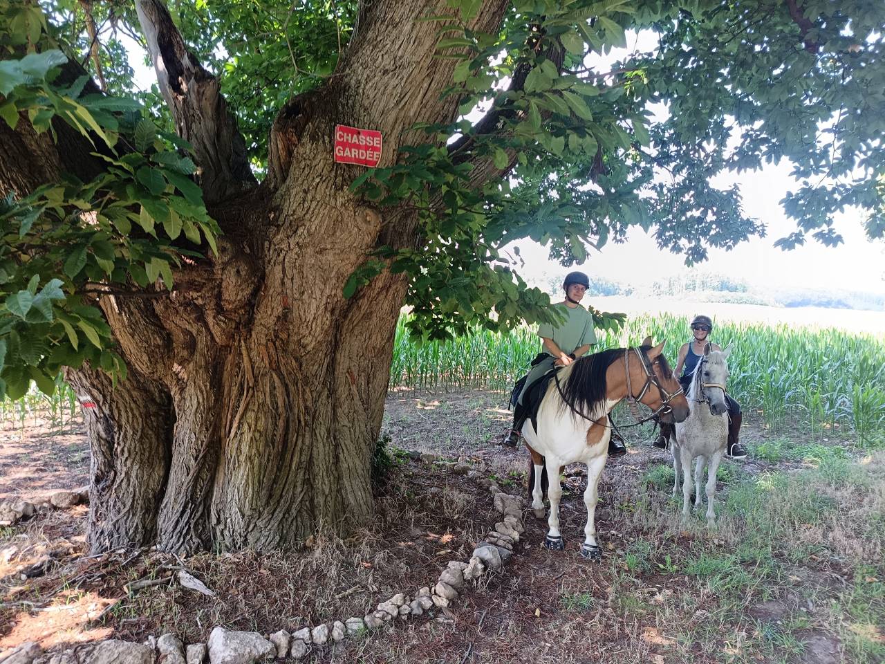 Balades et randonn&eacute;es &agrave; cheval 