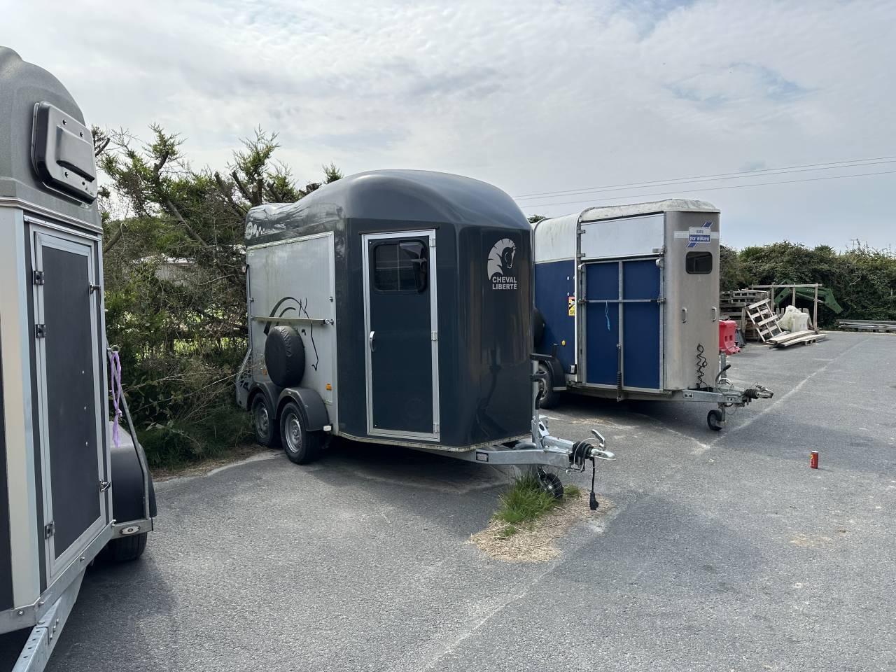 CHEVAL LIBERTE GOLD 3 - 2 PLACES - 2023 COMME NEUF