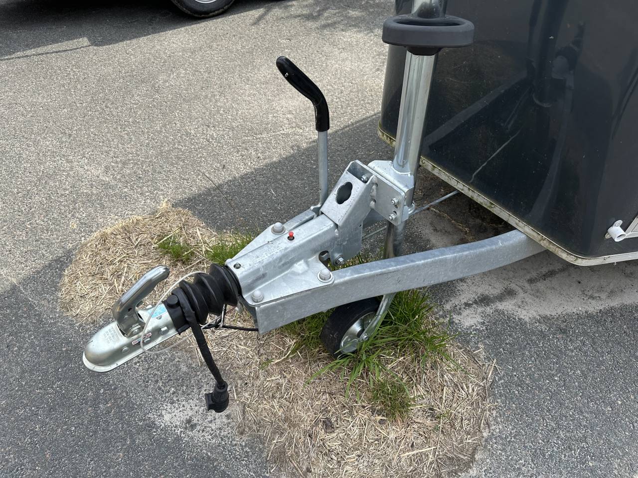 CHEVAL LIBERTE GOLD 3 - 2 PLACES - 2023 COMME NEUF