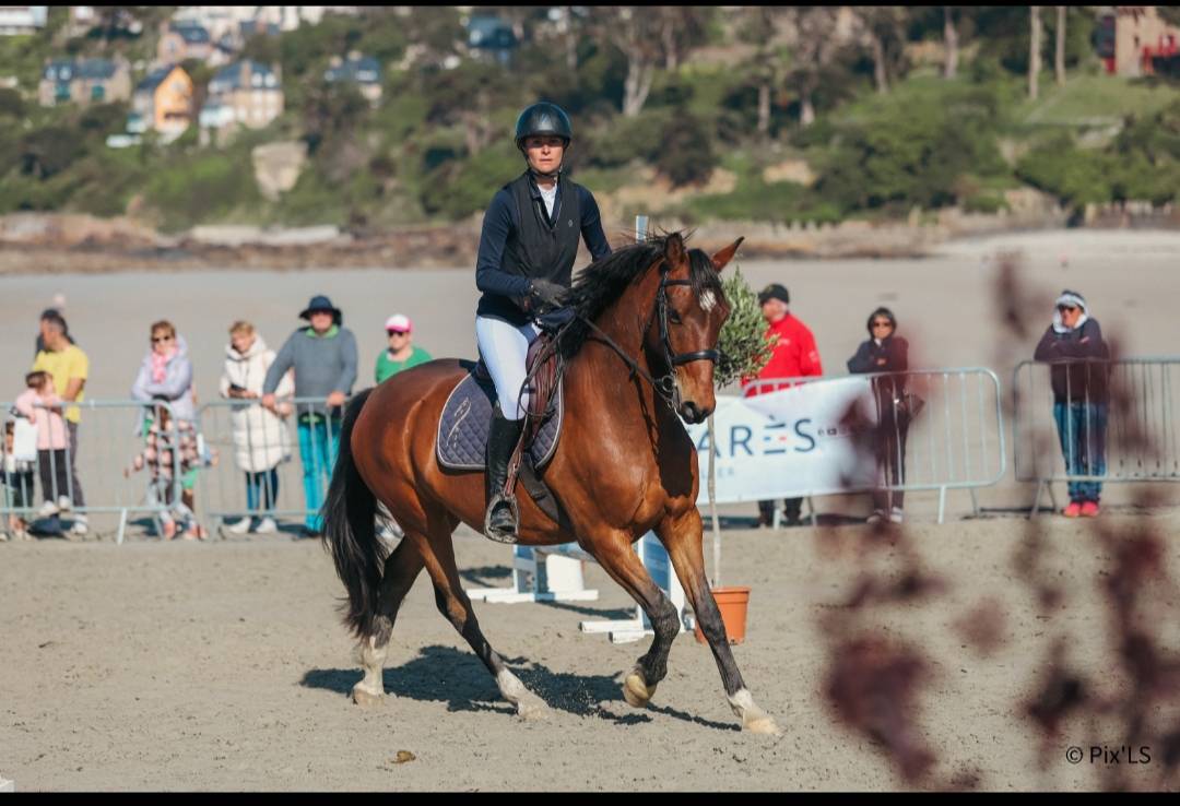 Poney E par Perle des fontaines X Carlson  CSO