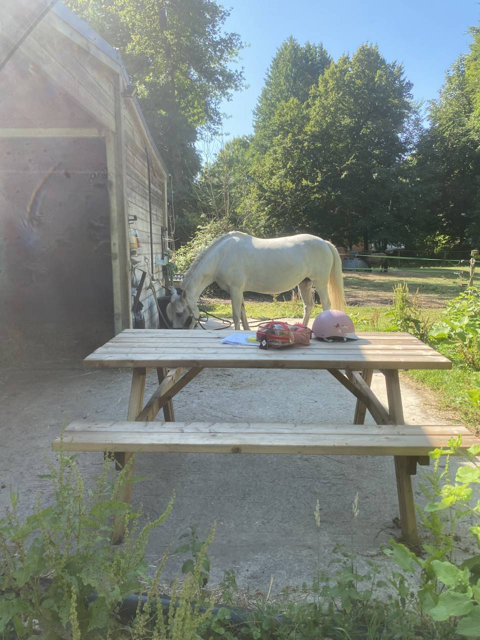 Pension For&ecirc;t Ermenonville et pension pre 