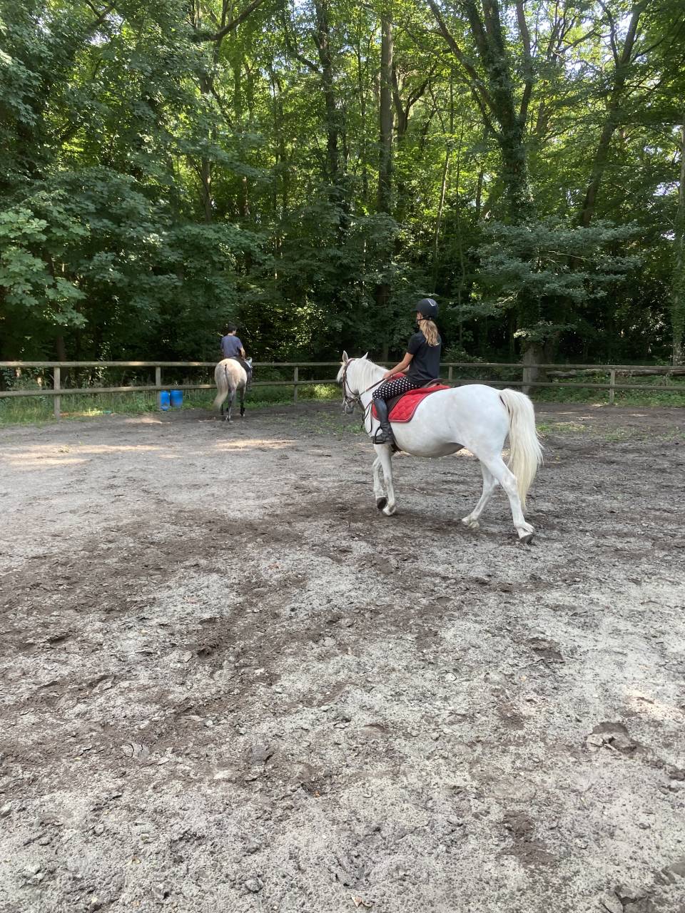 Pension For&ecirc;t Ermenonville et pension pre 