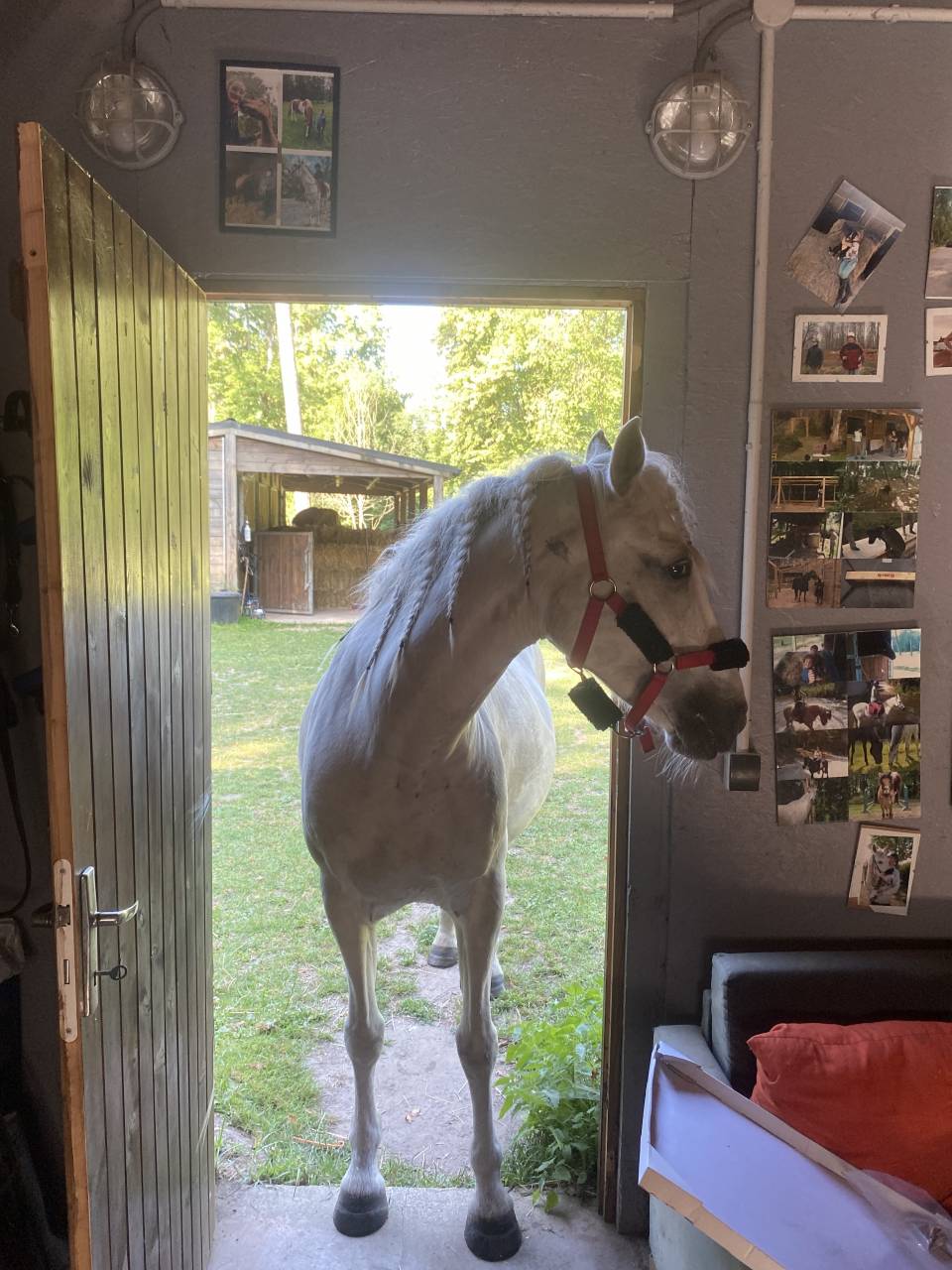 Pension For&ecirc;t Ermenonville et pension pre 