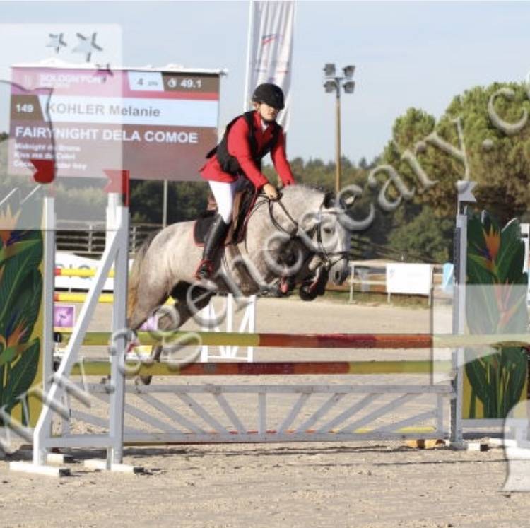 Foal Poney sport origines 4*