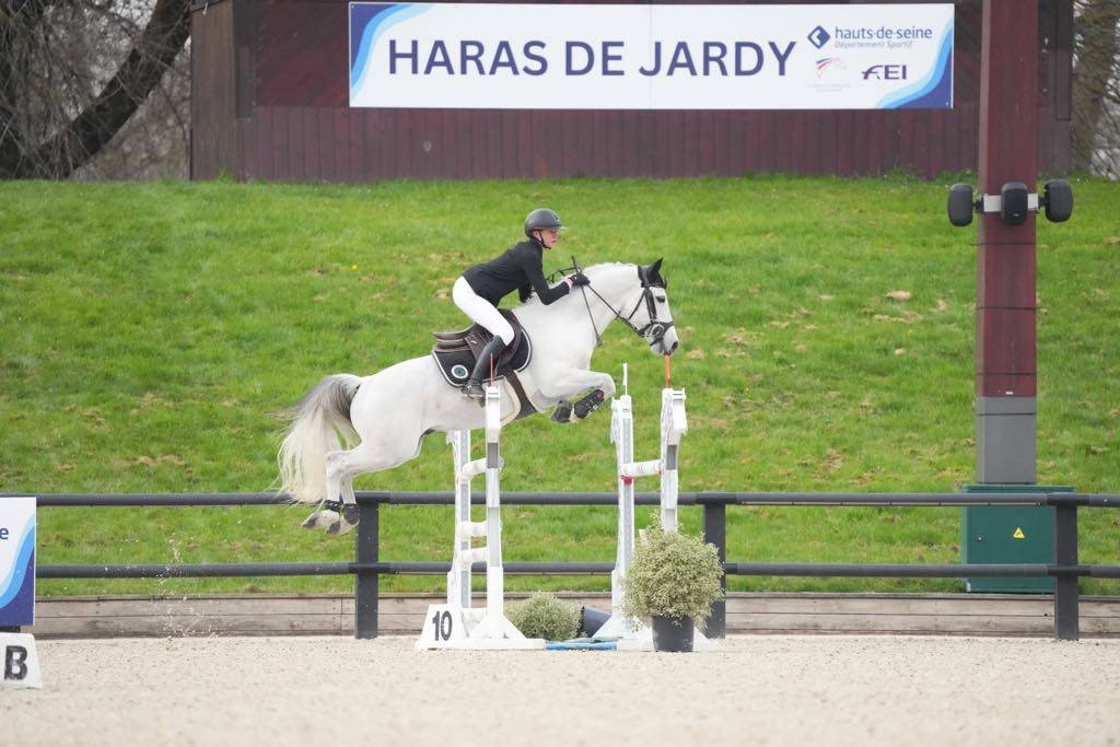 Foal Poney sport origines 4*