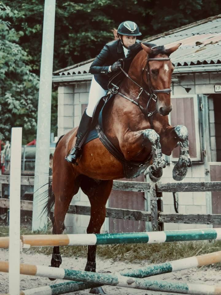 À vendre : Samourai du Bois Halleux – Hongre de 7 ans