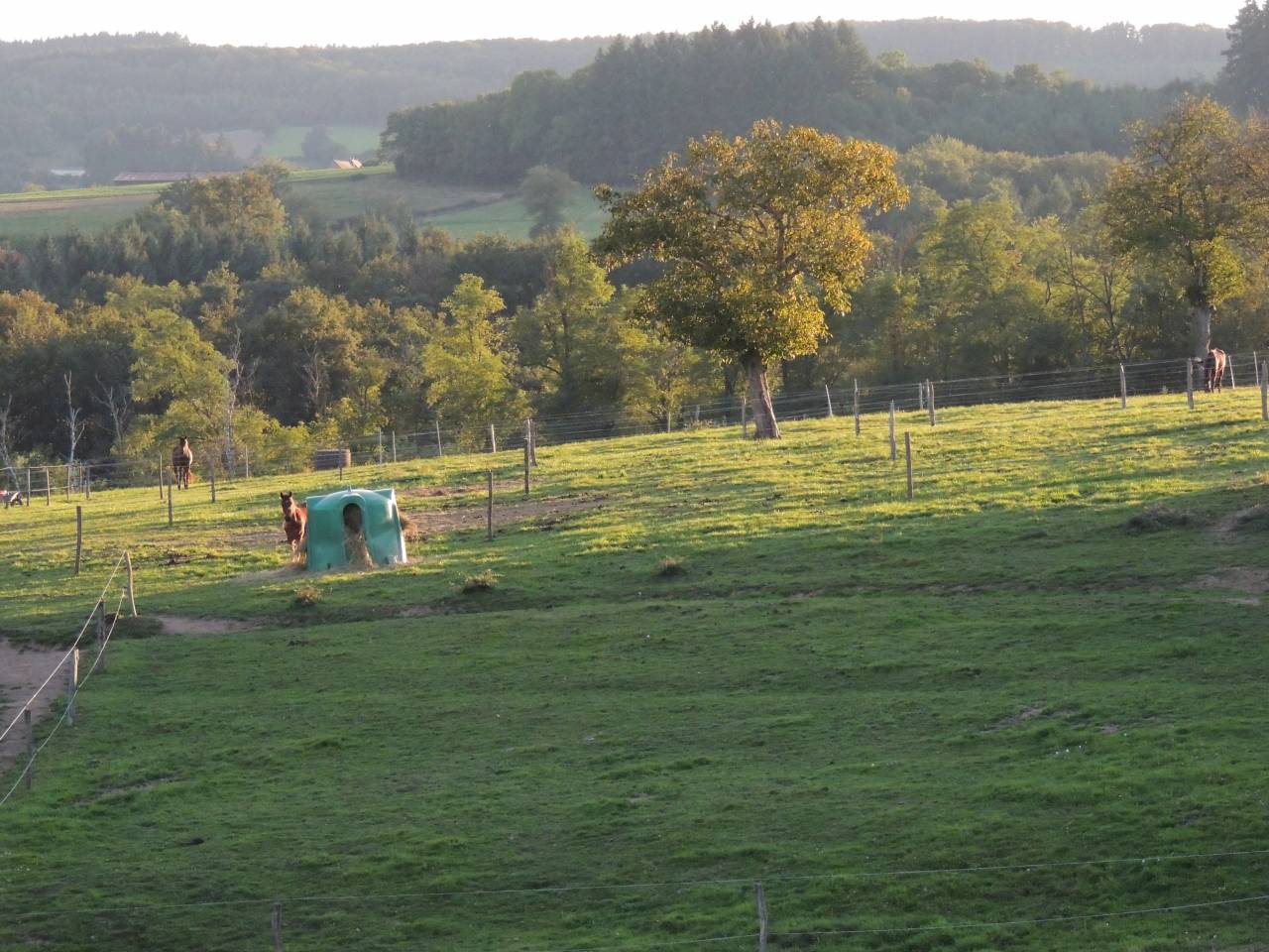 Pensions "bien-être"