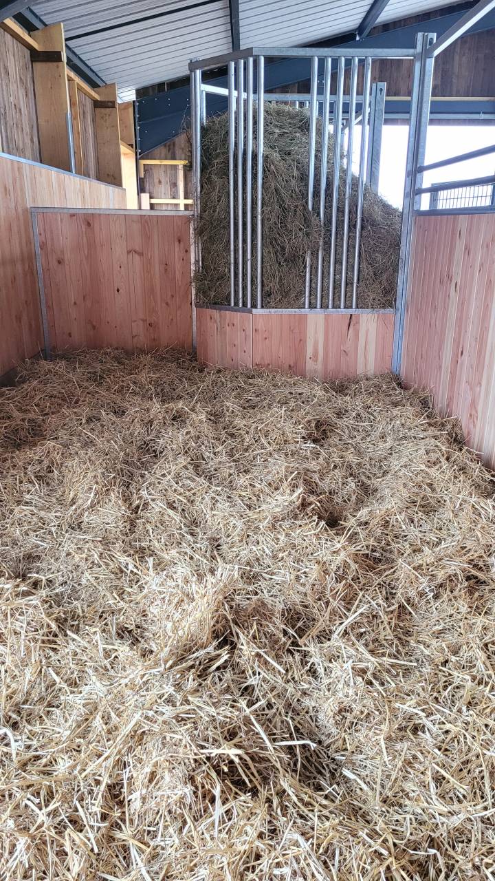 Pensions "bien-être"