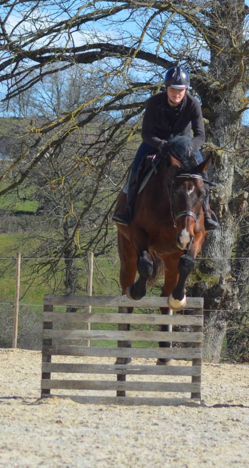 Pensions "bien-être"