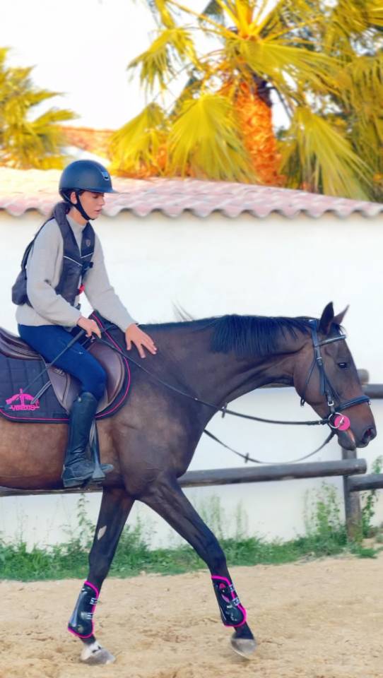 cheval à vendre 