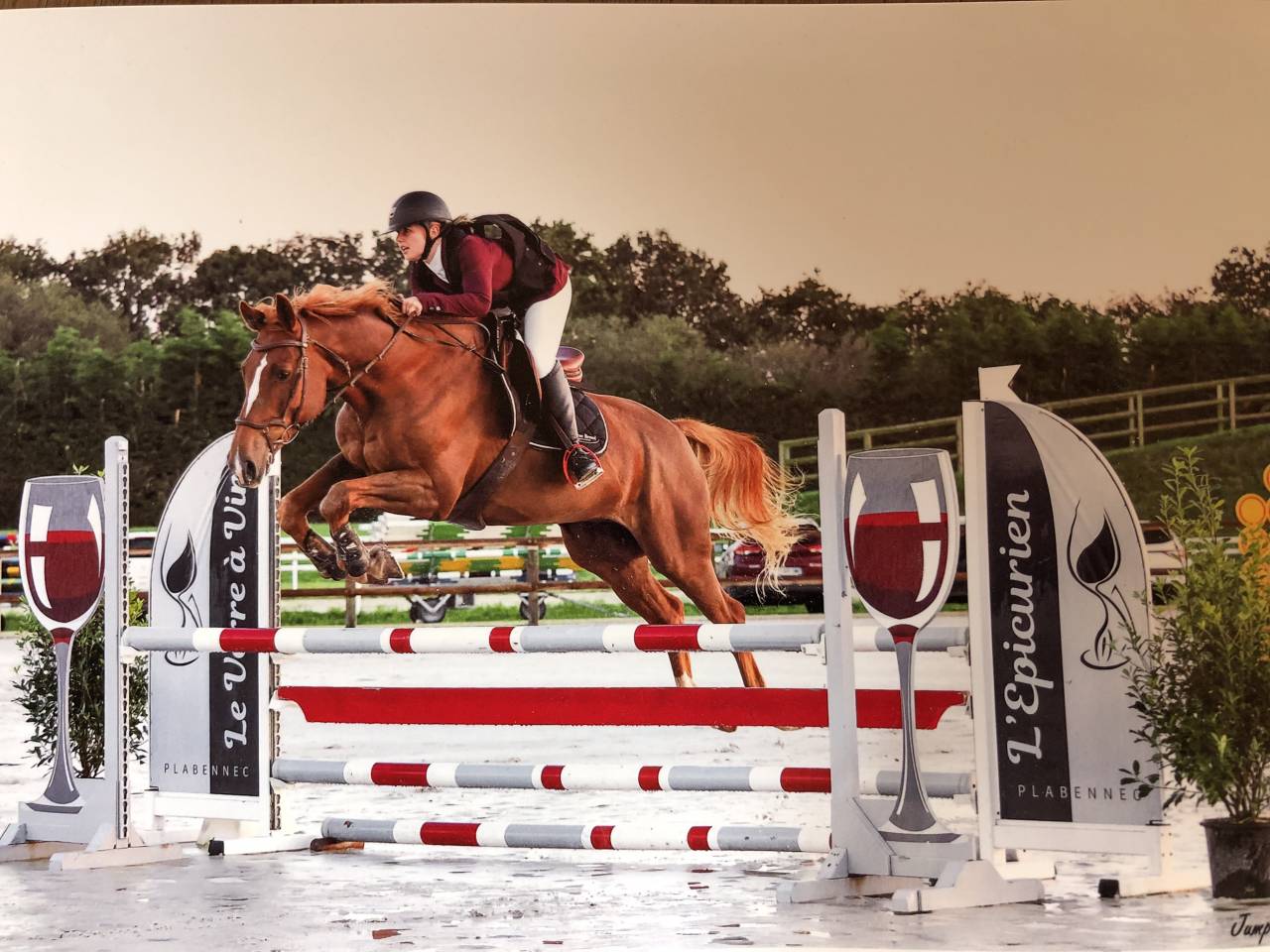 Cheval de loisirs-CSO