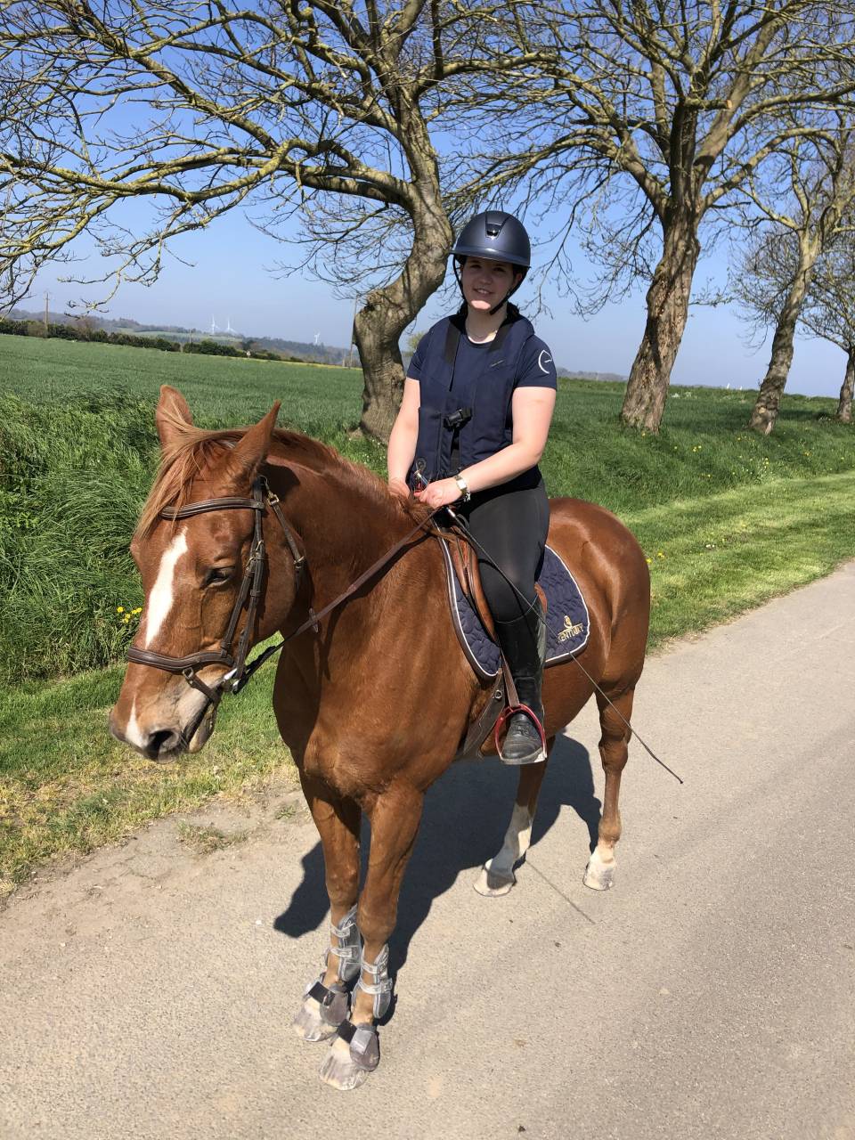 Cheval de loisirs-CSO