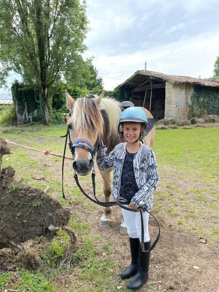 cheval fiord en vente 