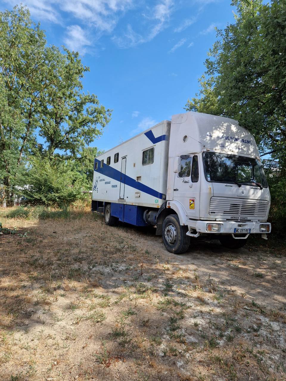CAMION CHEVAUX 11 PLACES