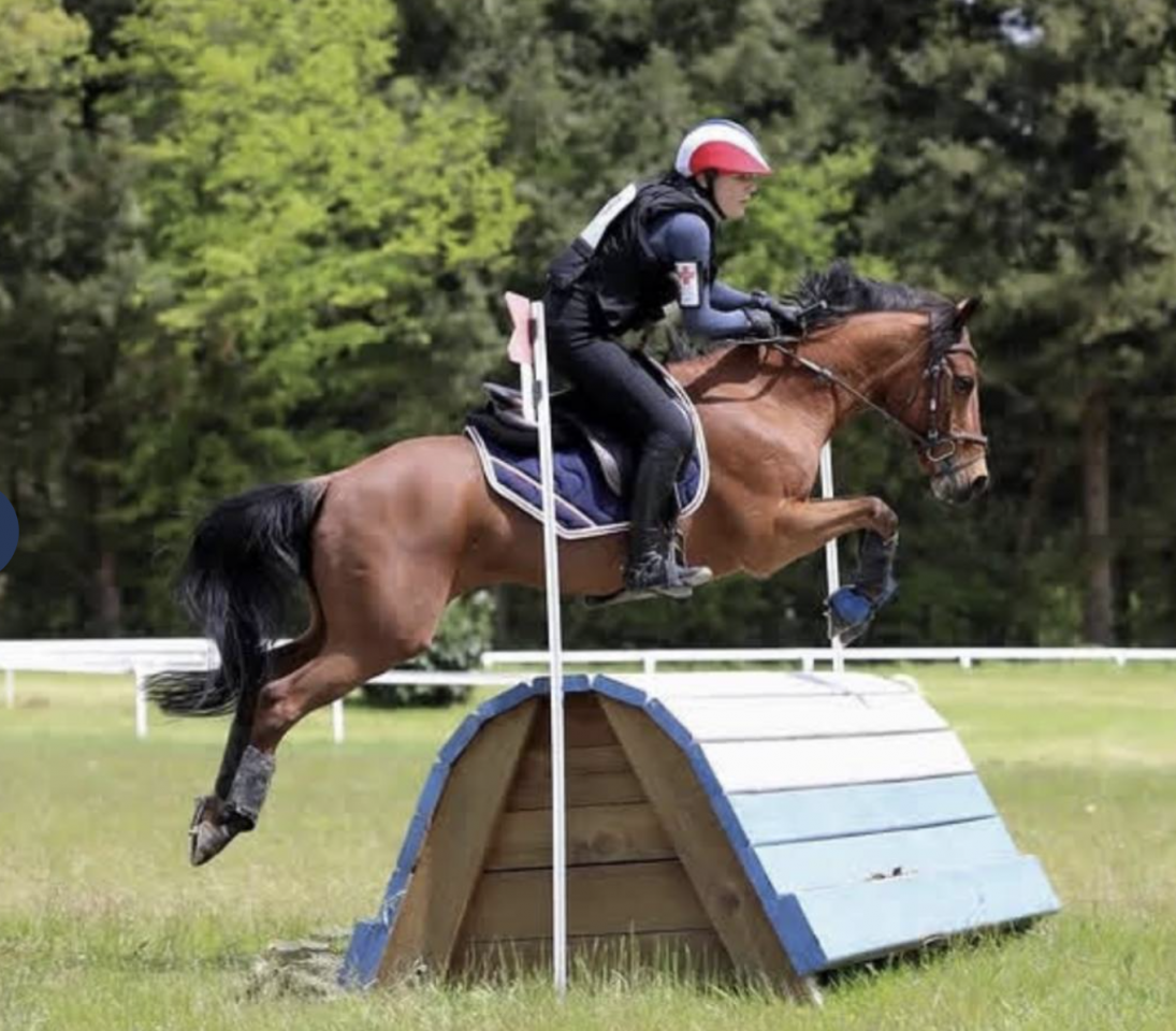 DP Maisons-laffitte Poney Maxi C