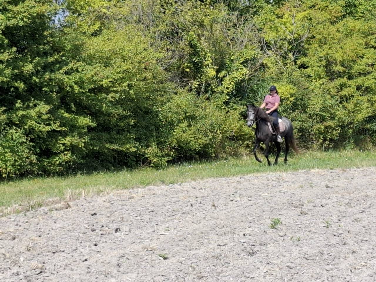 Ponette ONC 1m45 4 ans