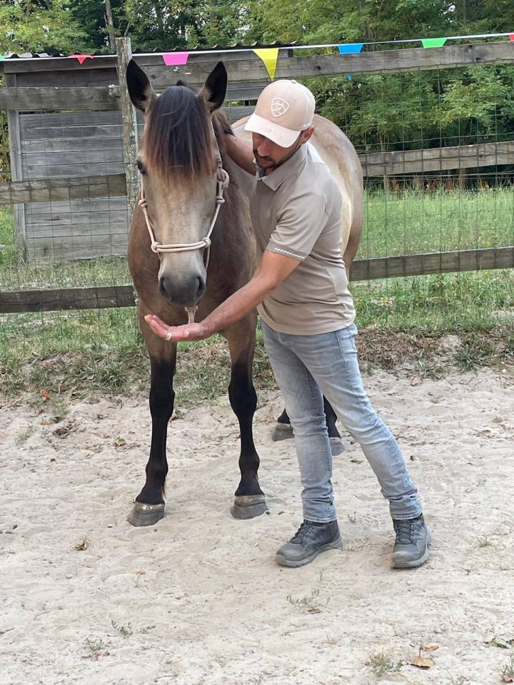 Equi-resilience : un temps pour soi autour ou sur le c