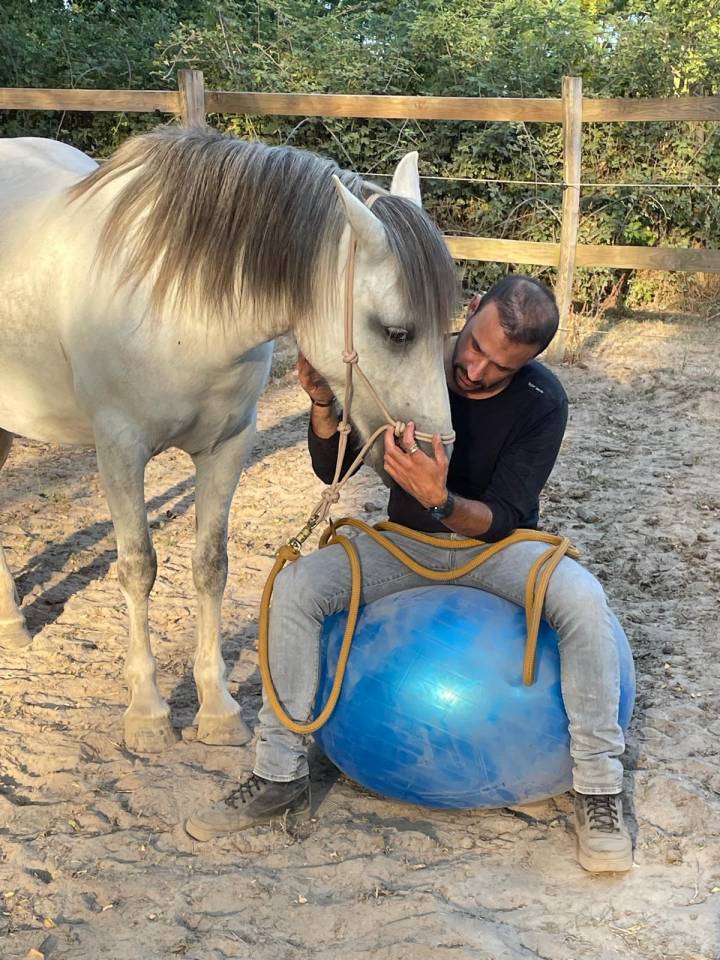 Equi-resilience : un temps pour soi autour ou sur le c