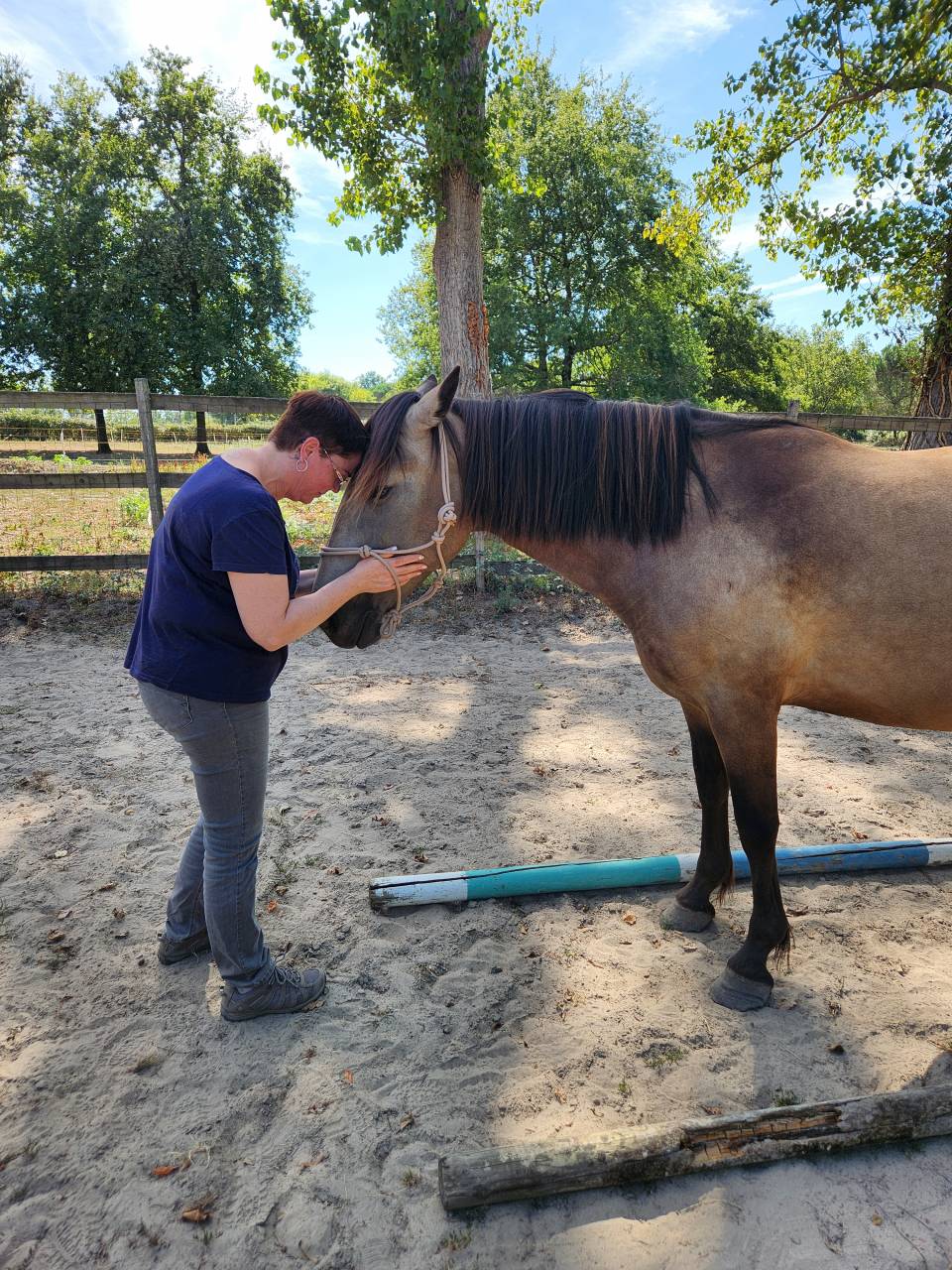 Equi-resilience : un temps pour soi autour ou sur le c