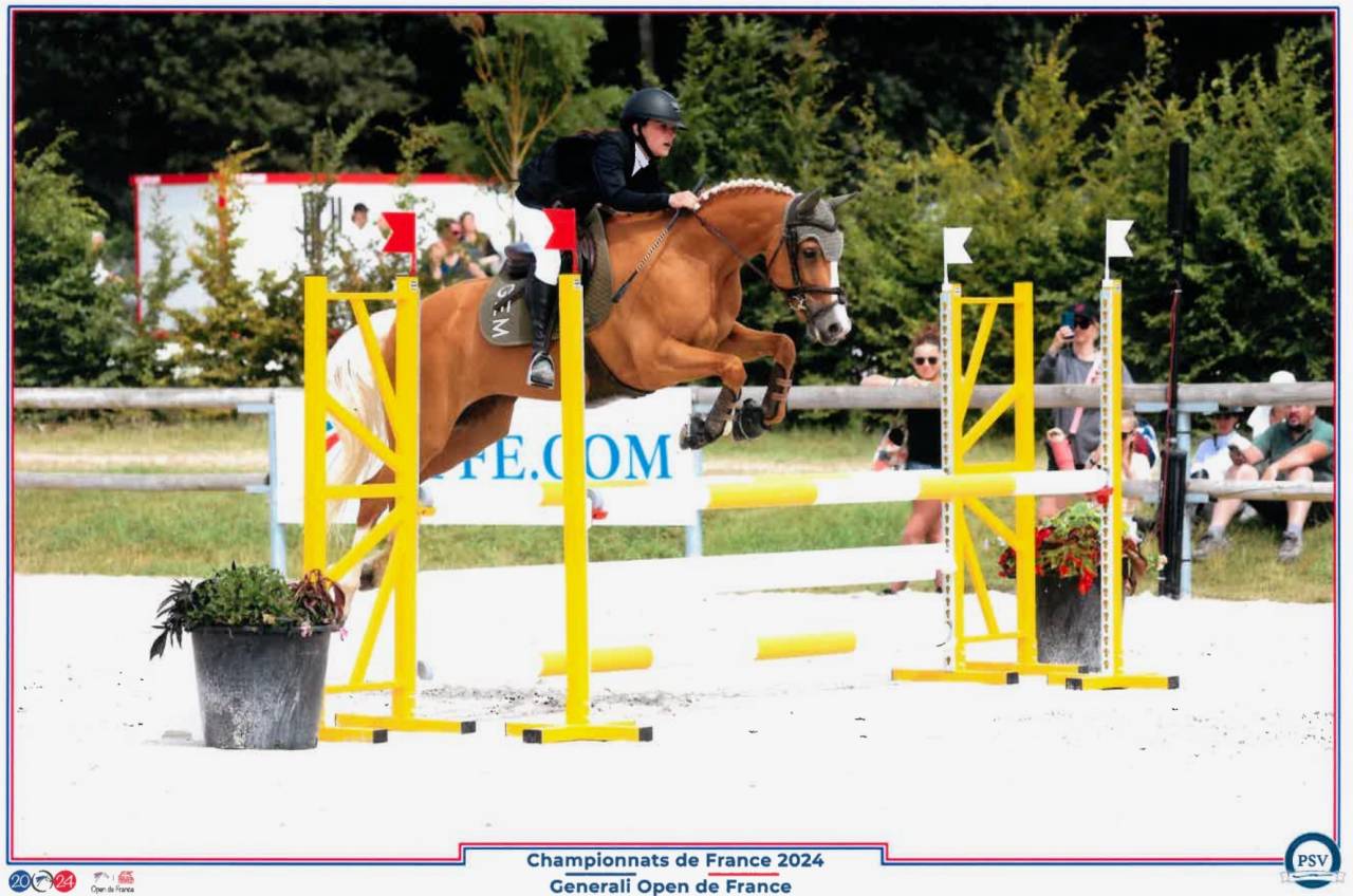 Fidèle de Ouf - ponette welsh Cob -10 ans - palomino