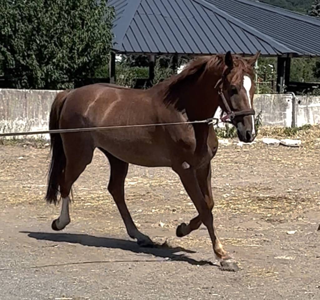 AES de 8 ans par Bon tanito Z x Affair M 
