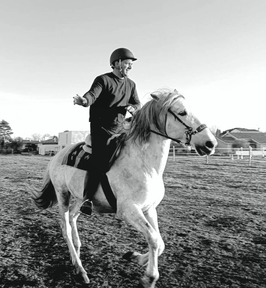 Adorable étalon espagnol de 22 ans à adopter 