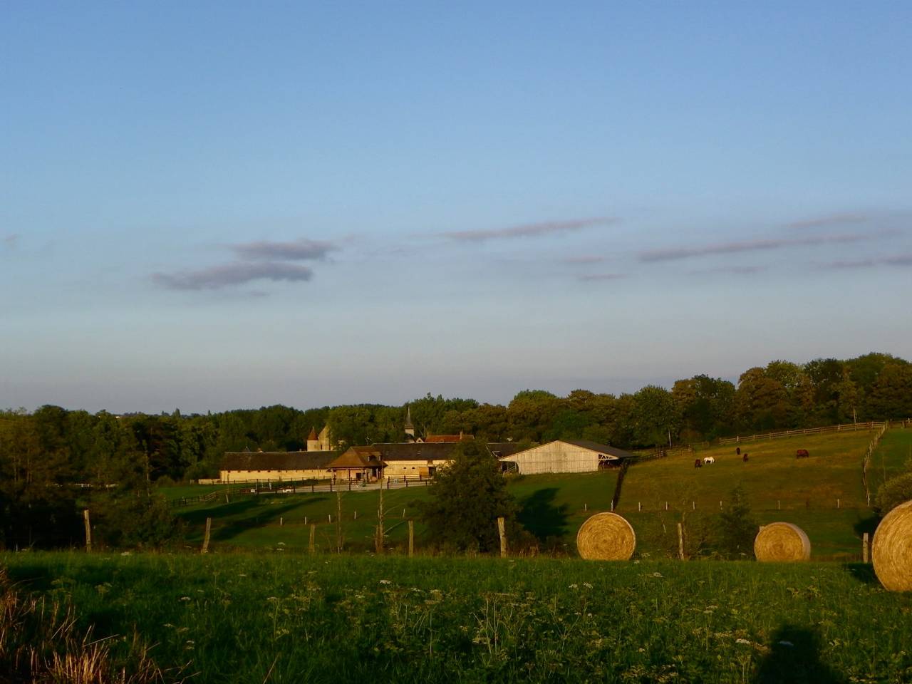 Pension pr&eacute; elevage retraite repos