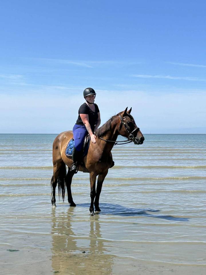 Cheval TF