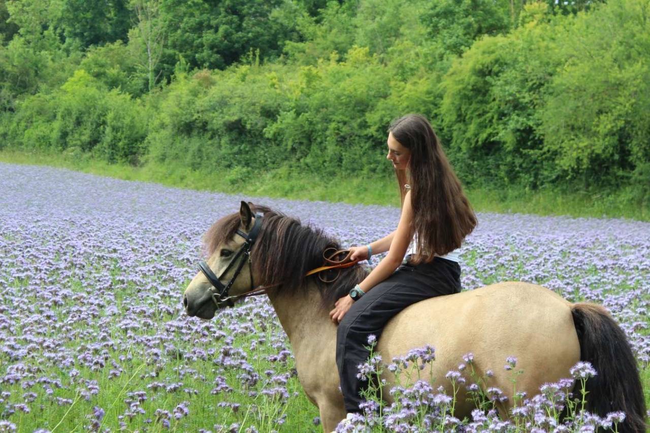 Ponette B, OC 