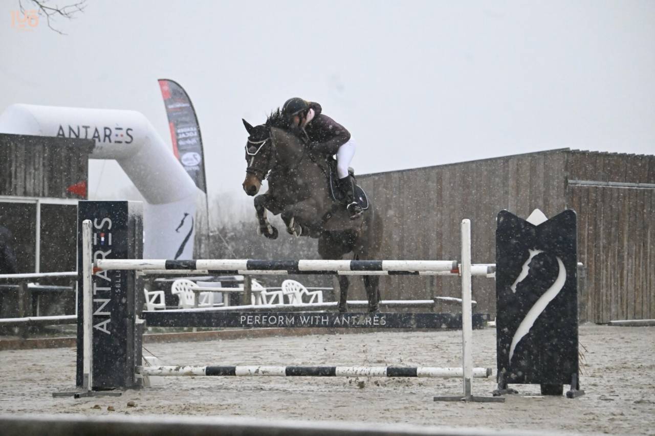 Cheval sf 8 ans