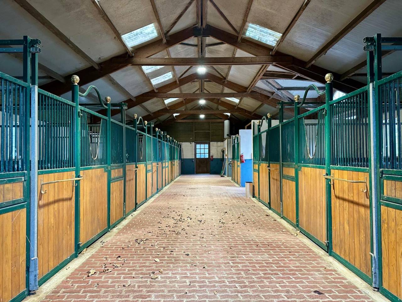 Pension chevaux au cœur du bocage Normand. 