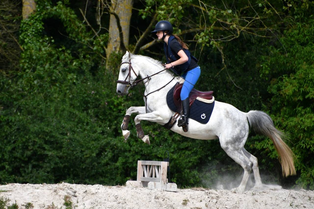 Location ponette PFS 