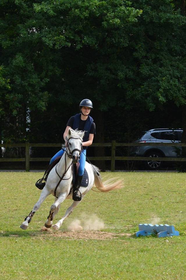 Location ponette PFS 