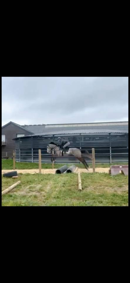 A vendre - AQPS - 4 ans