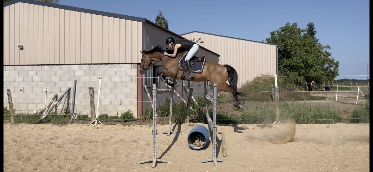 Top cheval potentiel 130/135