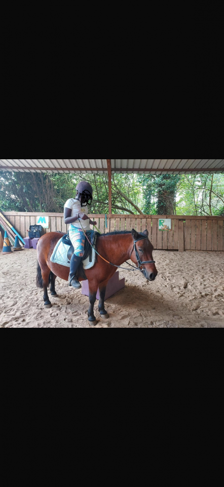 À vendre poney B 