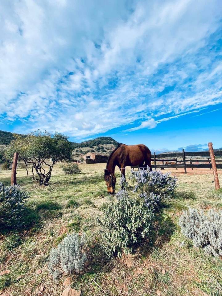 Ranch de balade