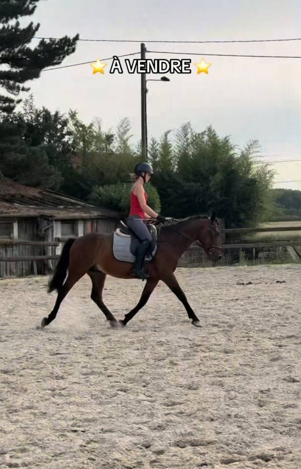 oney de 7ans, 1m44 ONCP