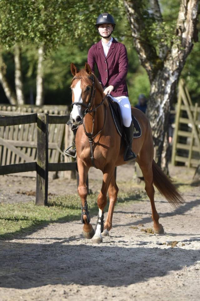 Jument SBS de sport à vendre CSO CCE