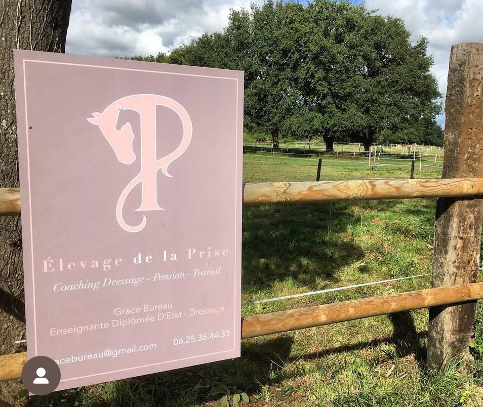 Pension box/paddock/pr&eacute; cheval 