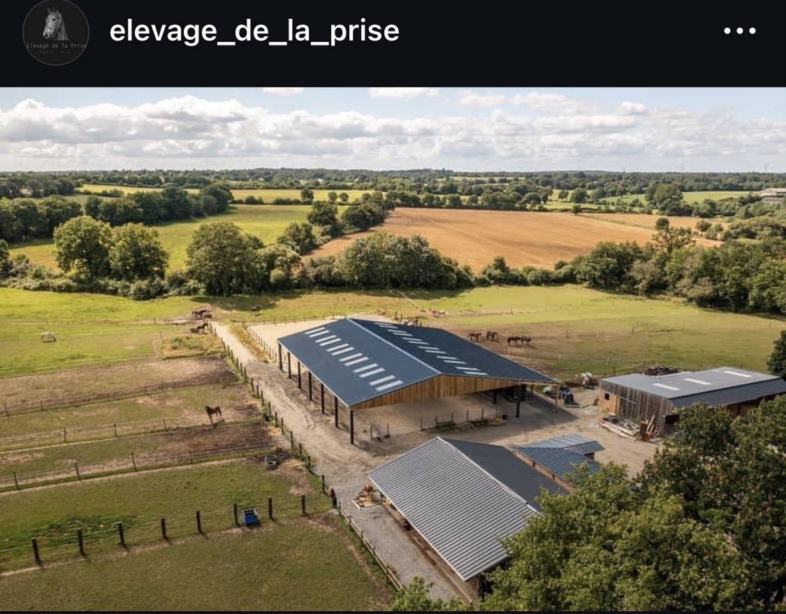 Pension box/paddock/pr&eacute; cheval 