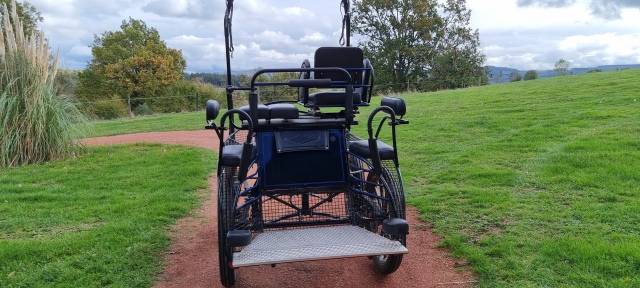 voiture d'attelage  GLINKOWSKI modèle NS 22295 1 cheval