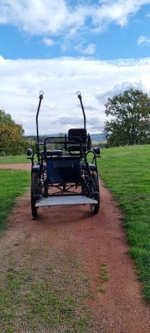 voiture d'attelage  GLINKOWSKI modèle NS 22295 1 cheval