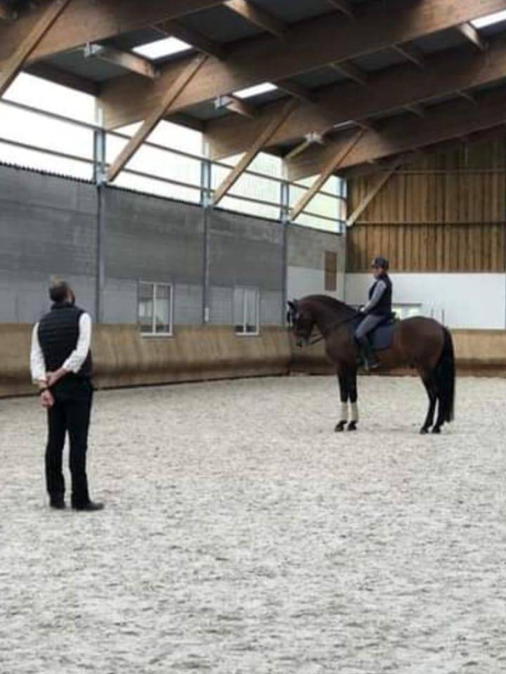 Places disponibles à l’Académie équestre du Miroir