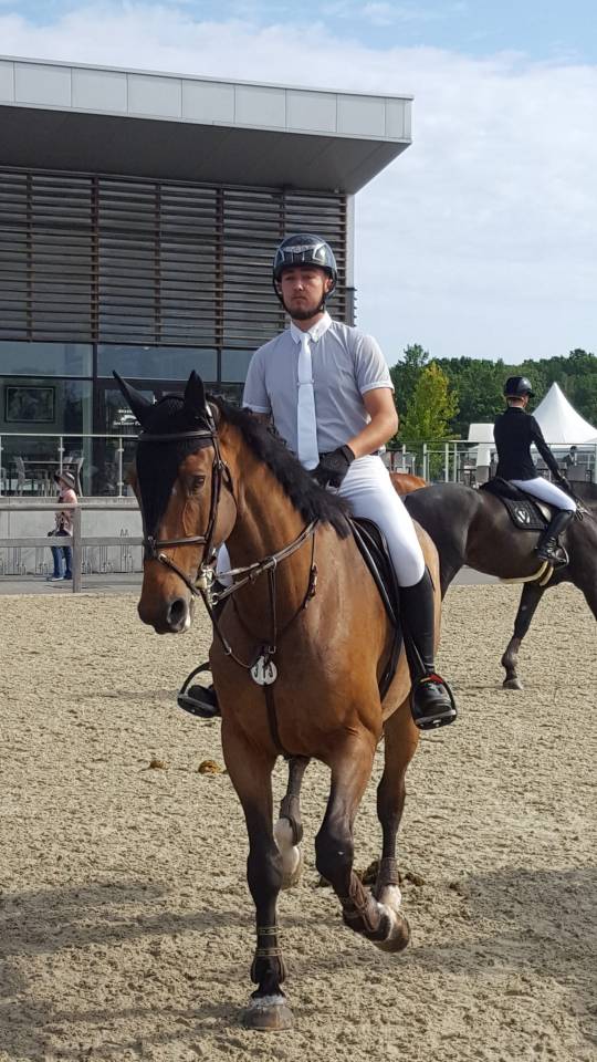 Hongre 13 ans  - SBS - 1M76 - CSO 125/135 