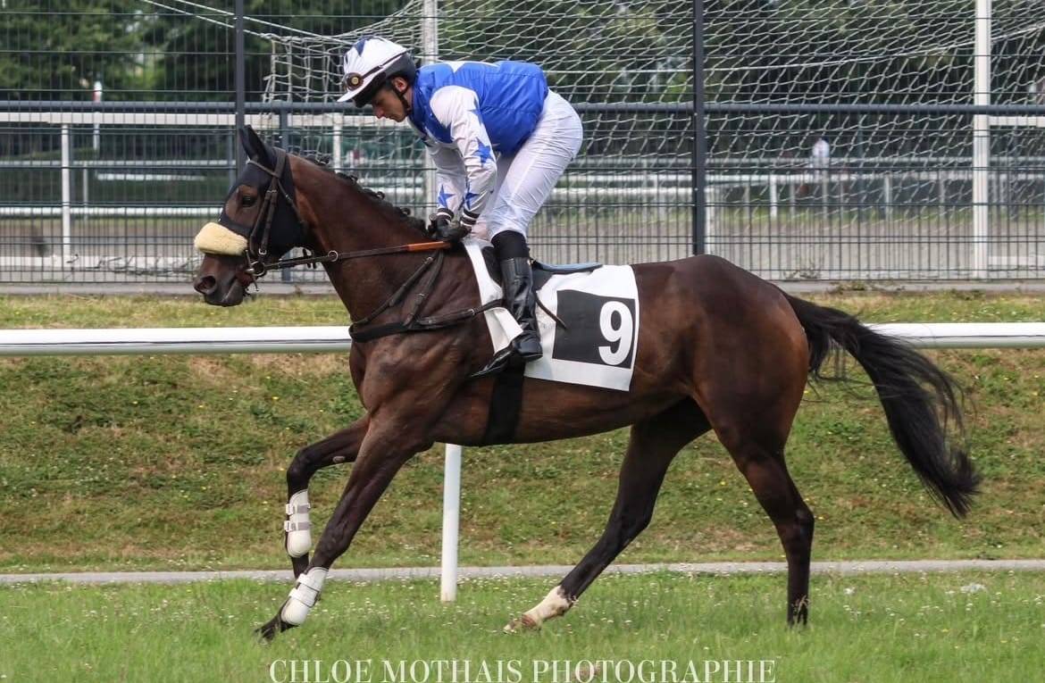 Jument PS réformée course obstacle 5 ans