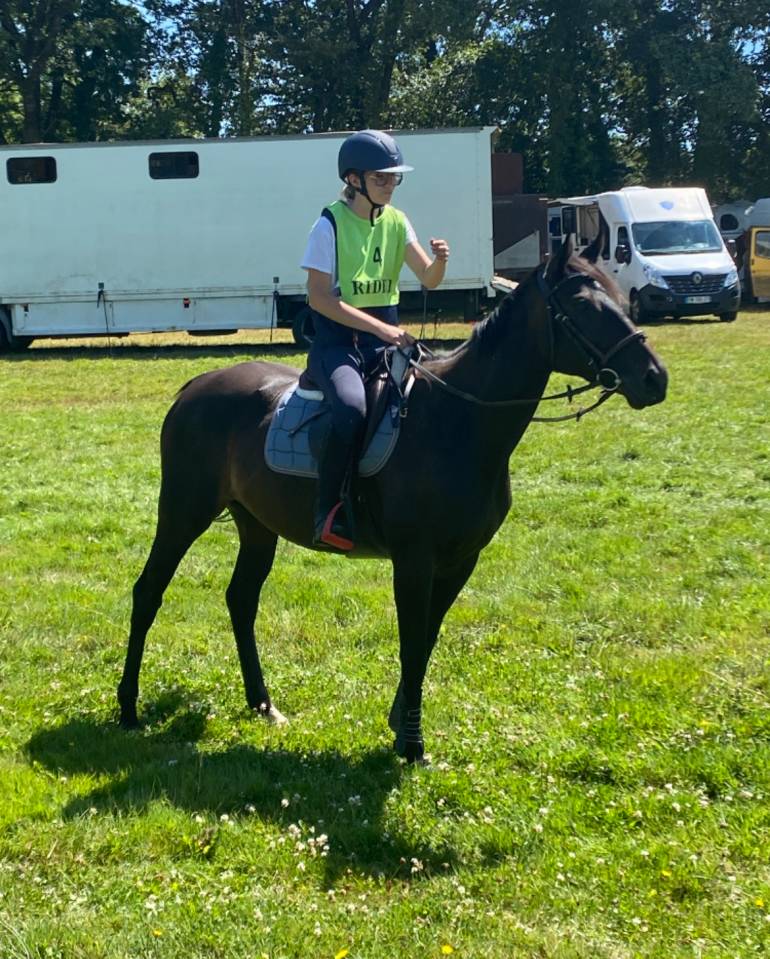 jument Pur-Sang Anglaise de 6 ans